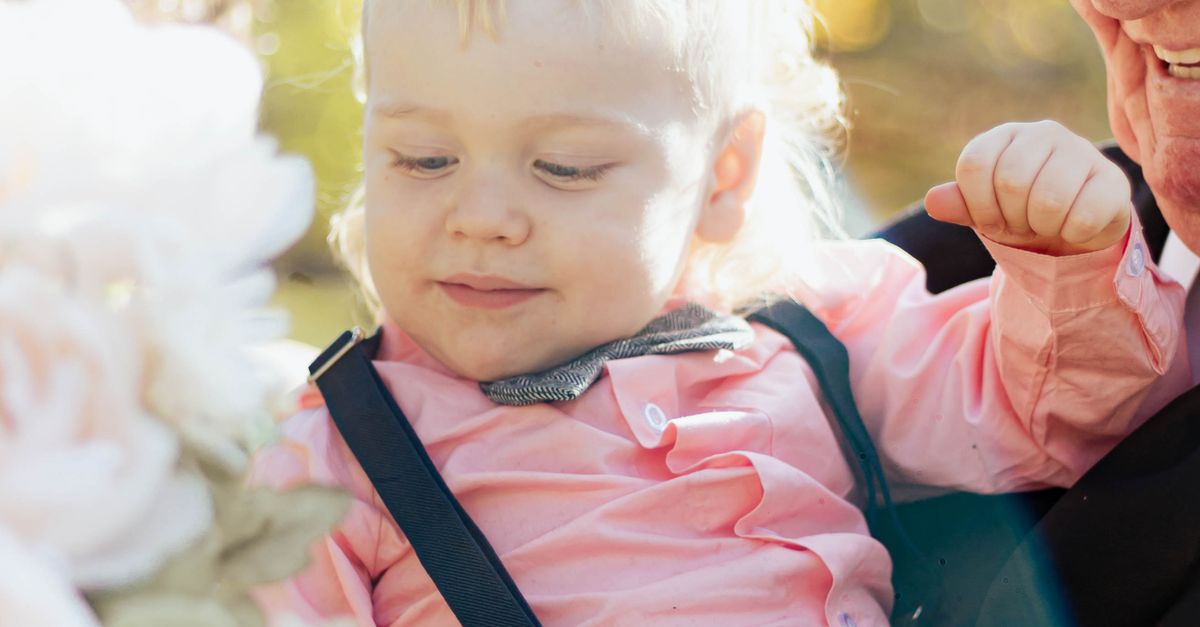 Understanding the Importance of Firewalls in Network Security